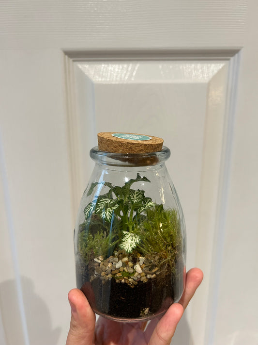 Terrarium