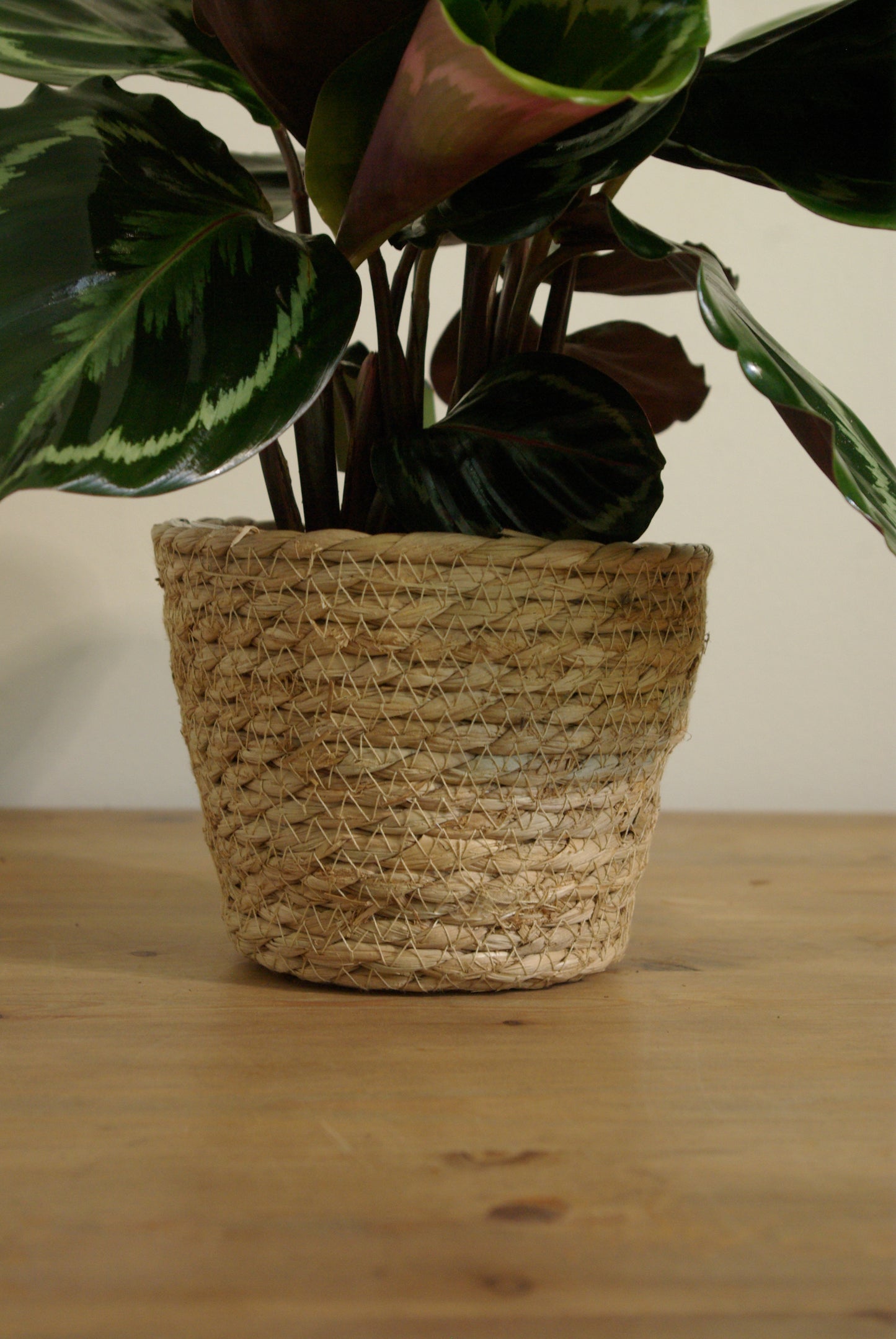 Handwoven basket pot with lining - 12CM