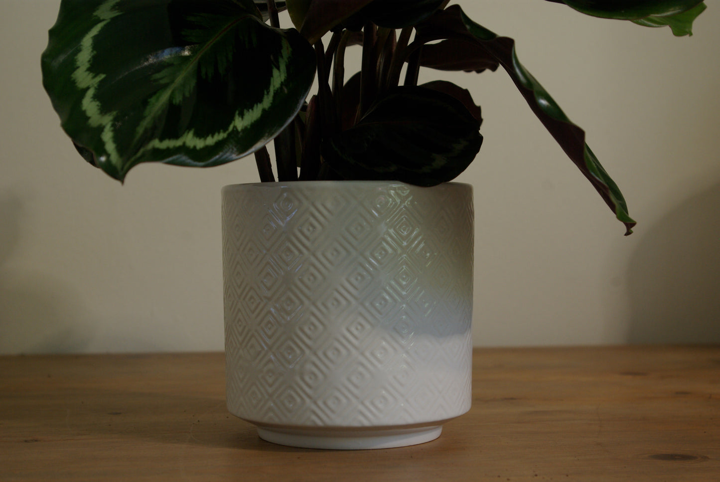 Geometric White Ceramic Pot - 12cm