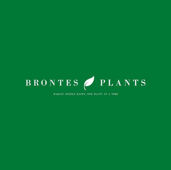 Brontes Plants